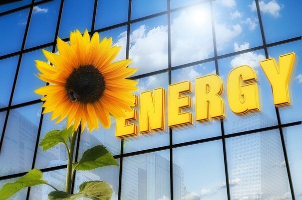 Sonnenblume mit Energy-Logo